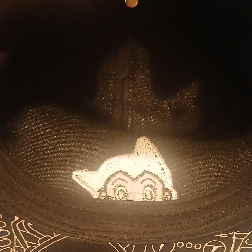 Loot Crate Black Cat Hat with Astro Design
